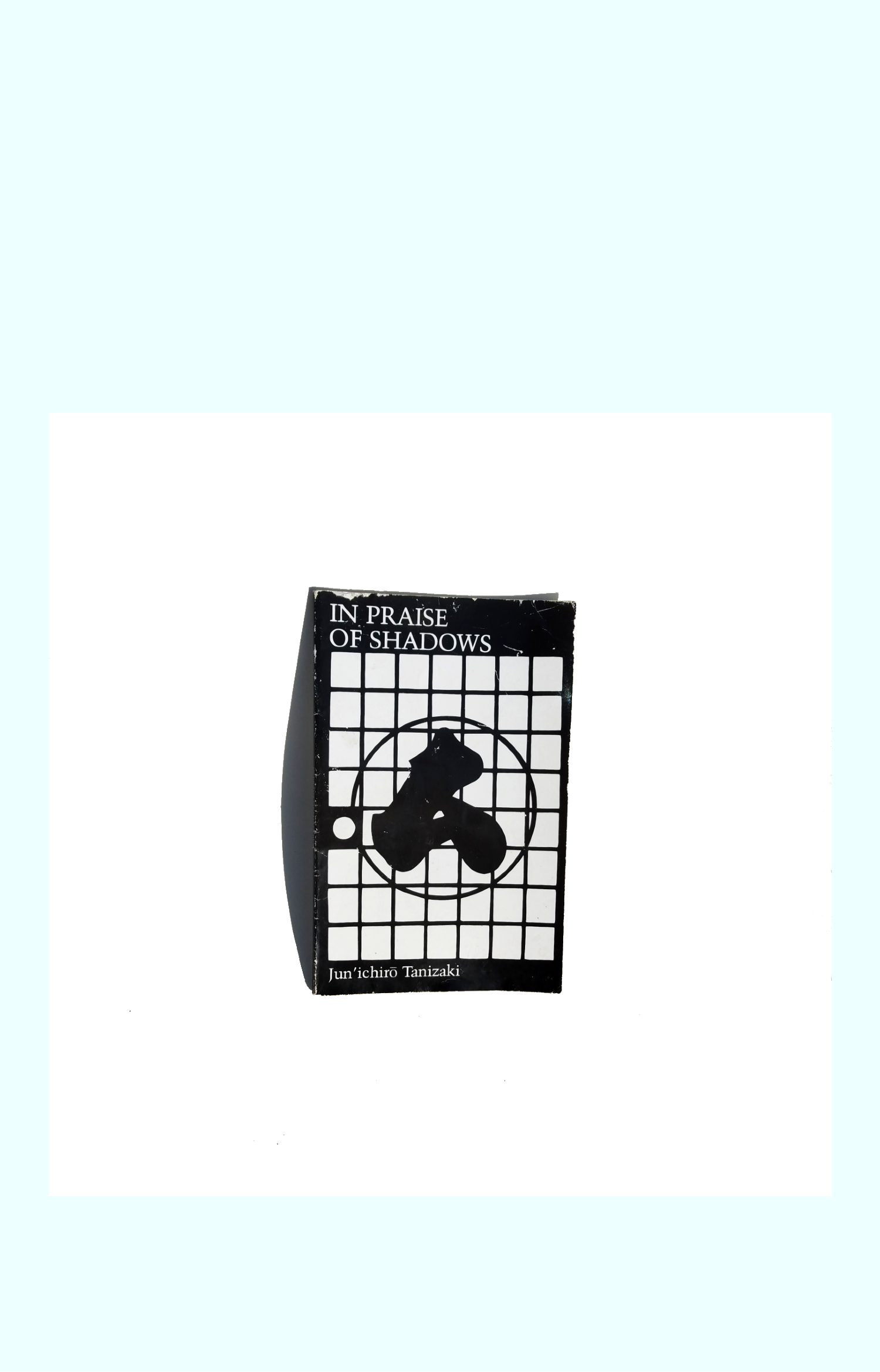 in_praise_of_shadows